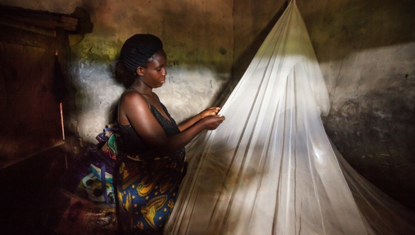 Le Paludisme (Malaria) : Comprendre, Prévenir et Lutter contre une Maladie Tropicale Majeure